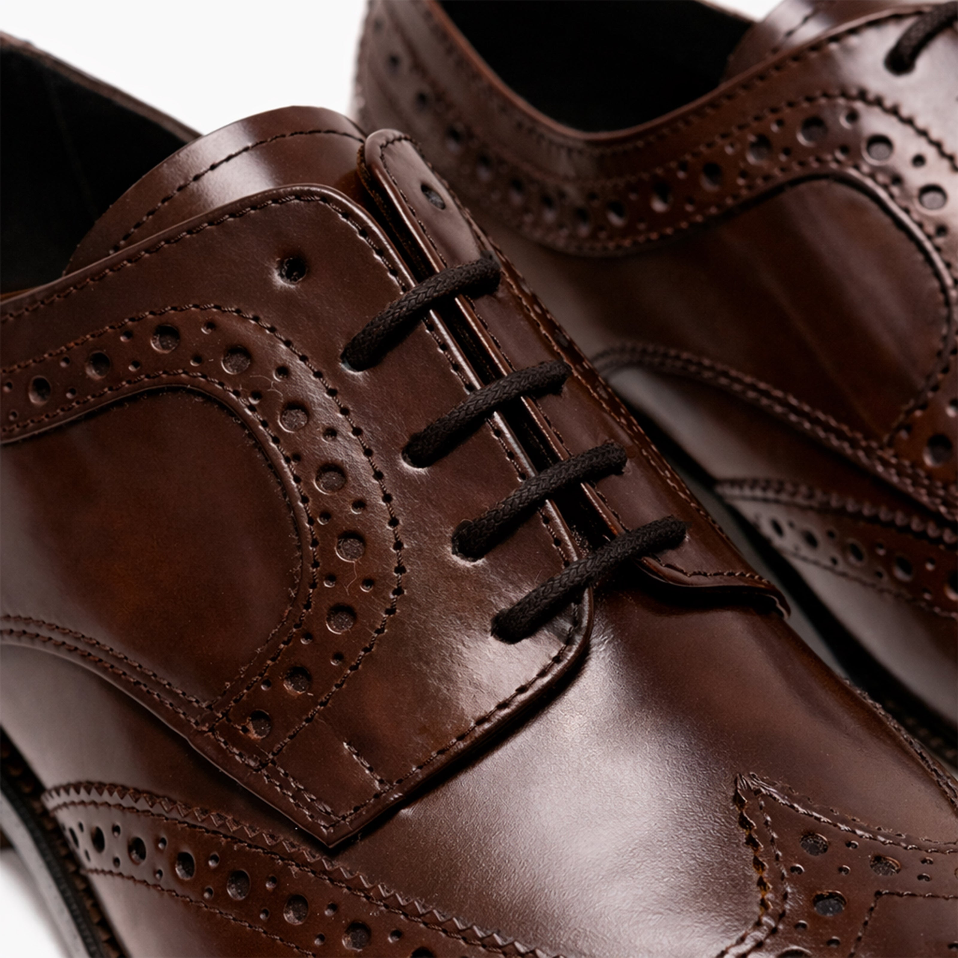 Scarpe - Derby brogue da uomo in vitello spazzolato ricamato